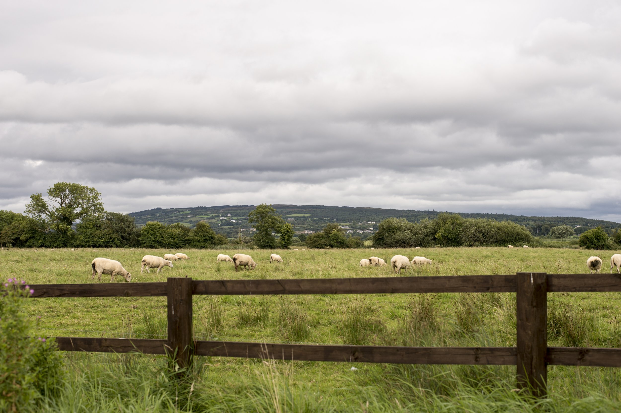 cliffs of moher Ireland Irish coast ocean view Europe European vacation travel solo wanderlust