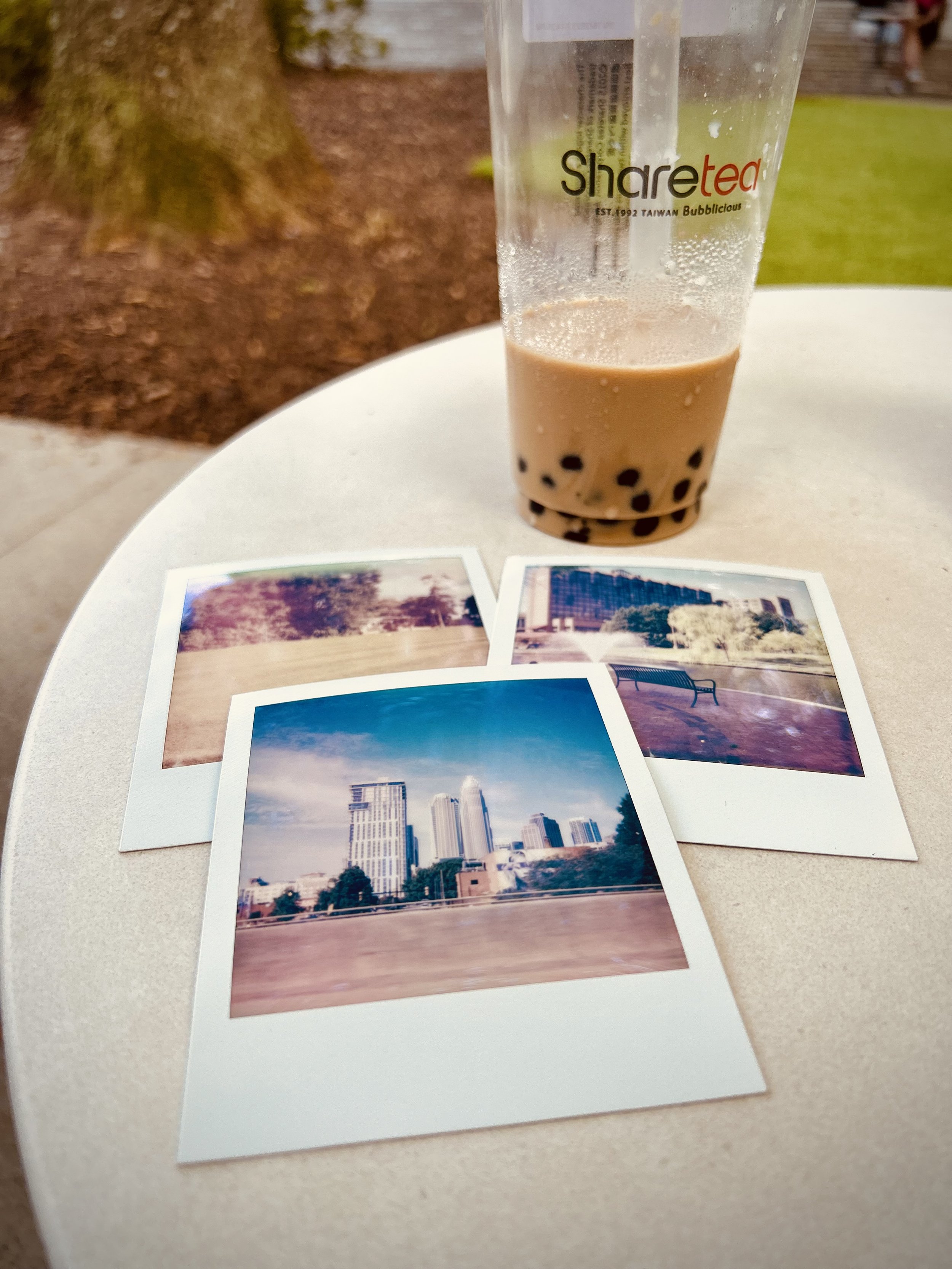 Charlotte North Carolina Queen City clt love letter blog lifestyle