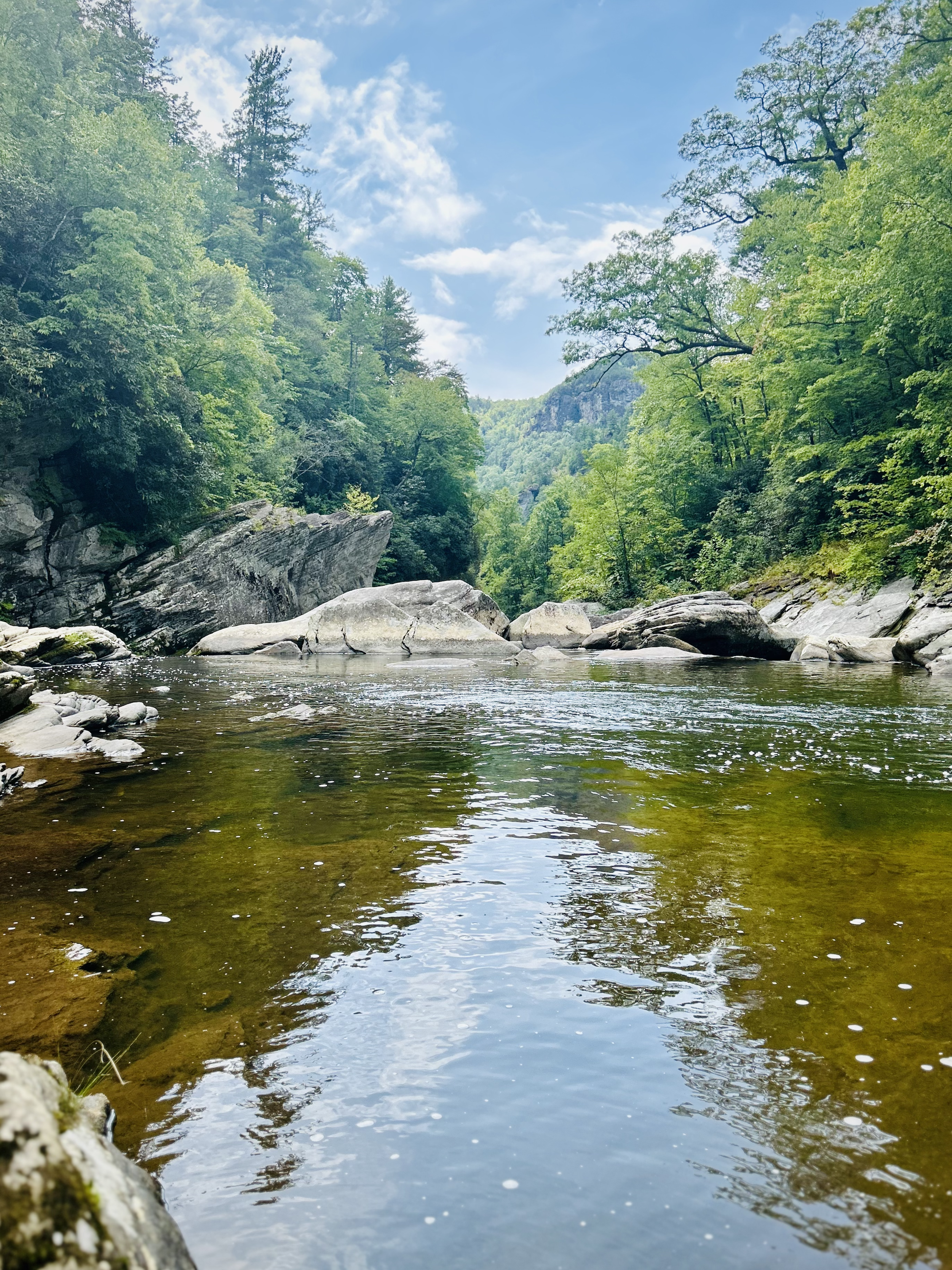linville gorge wilderness area pisgah national forest north carolina