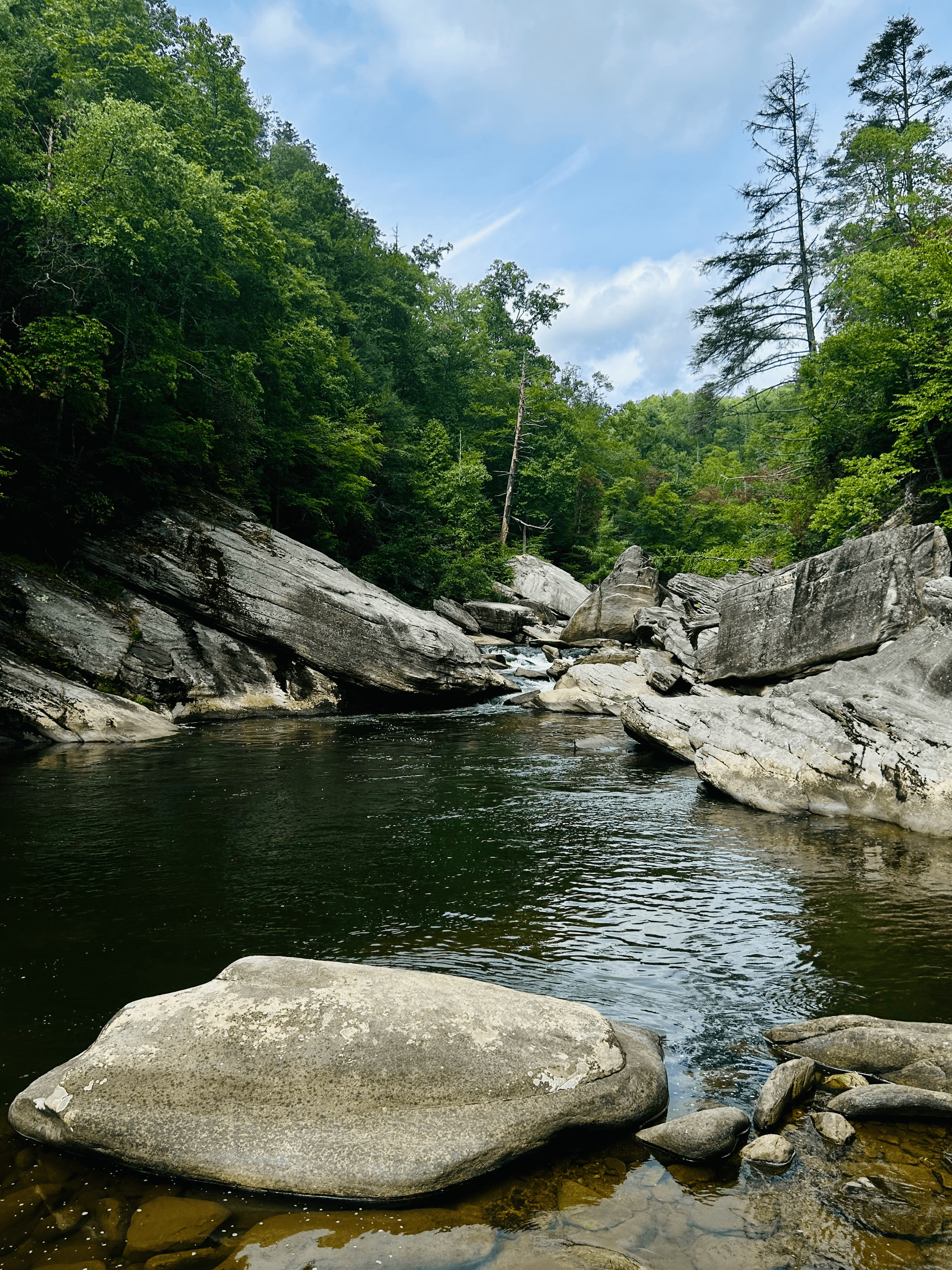 linville gorge wilderness area pisgah national forest north carolina
