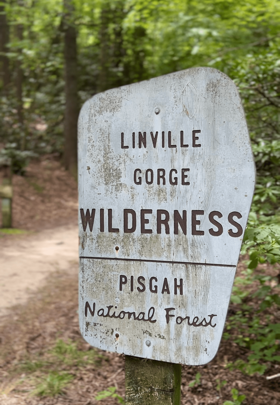 linville gorge wilderness area pisgah national forest north carolina